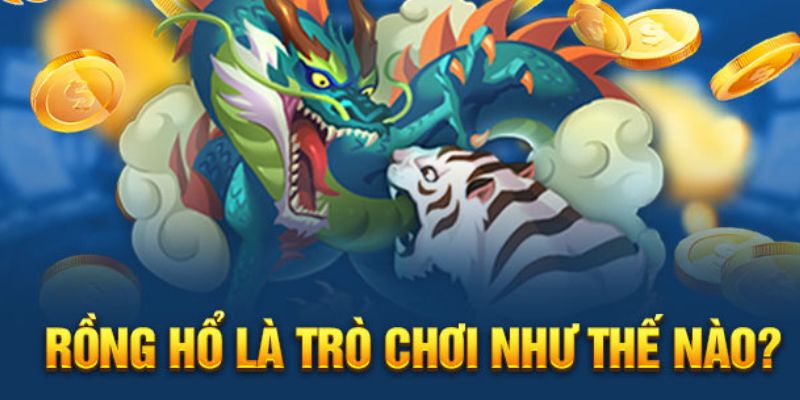 Trải nghiệm cá cược đỉnh cao với Rồng hổ Kubet